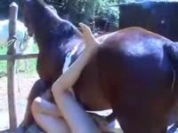 Huge erected horse cock destroying a lady's pussy
